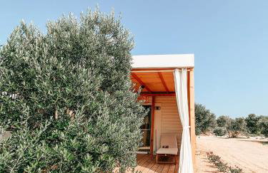 Diamond Coast Mobile Home - Photo 14