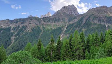 La Tana della Volpe, Falcade - BL - Foto 2