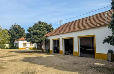 Quinta do Casalinho - Benfica do Ribatejo - Foto 10