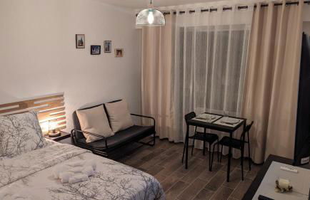 Escapade Mulhousienne - Foto 5