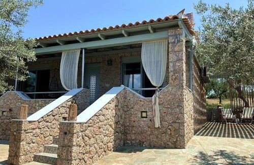 Villa dell'Olio - Foto 50