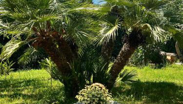VILLA ELI - Foto 4
