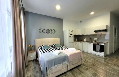 Apartamenty Parkowe nr 4 - Foto 6