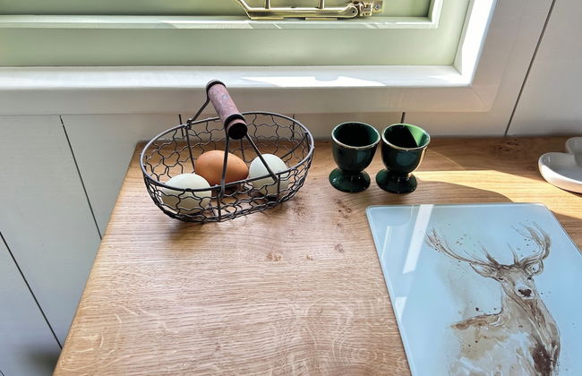 Cosy Devon Retreat Woodland Views - Foto 11