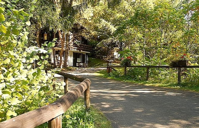 Chalet in Reinskopf With Fireplace - Photo 19