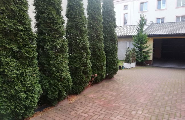 Apartamenty Alexa Old Town Kutno - Foto 20