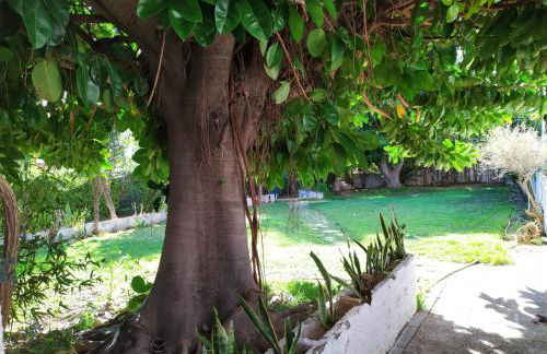 Acuario Benalmádena - Foto 23