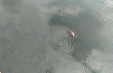 True Happiness, Housing Near Disney Word - Foto 64