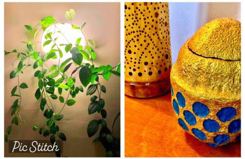 La Casa de Bonela - Foto 11