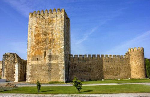 O beiral das andorinhas - Foto 26