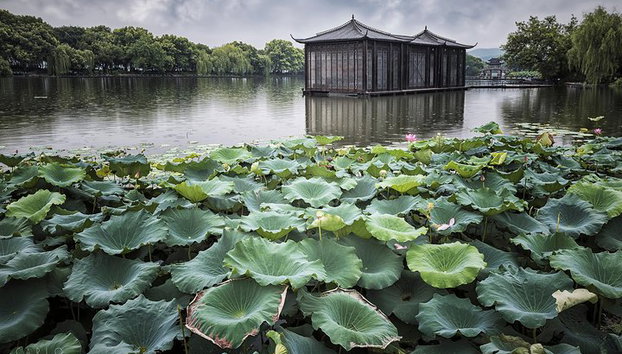 Excursión privada de 1 día a Hangzhou - Foto 5, lago Oeste