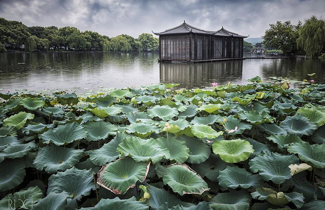 Excursión privada de 1 día a Hangzhou - Foto 5