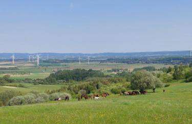 Brzozowy Zakątek - Photo 23