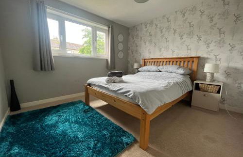 North Coast Property - Number 15 - Foto 3