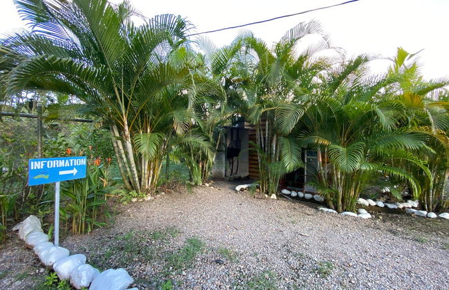 Cabañas Rio Escondido - Foto 2