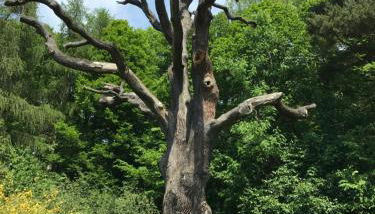 Ferienhaus Kirchturmblick bei Quedlinburg - Foto 5