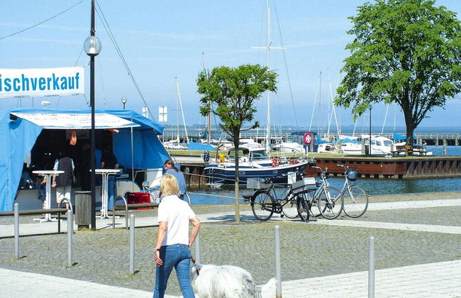 Ferienhaus, Ribnitz-damgarten - Foto 10