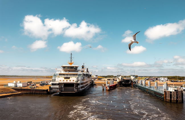 Apartment in Texel Near De Koog Center - Foto 36