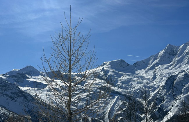 Bergfreude - Foto 64