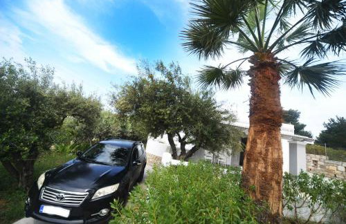 Olive garden house - Foto 37