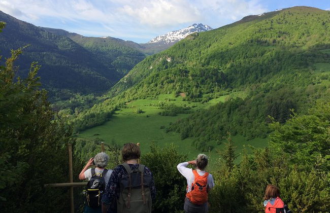 Tour di un giorno a Mirepoix, Montségur, Camon. Tour privato da Carcassonne - Foto 1