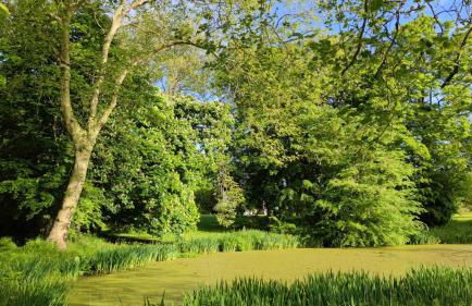 Schlummerfass - Foto 11