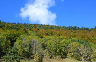 Ferienwohnung Schog - Foto 40