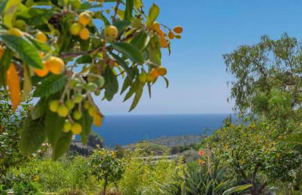 Villa Irene Vélez-Málaga by Ruralidays - Photo 34