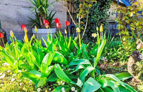 Holiday Home Papaveri e Papere by Interhome - Photo 7