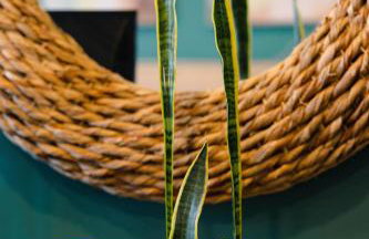 Rainforest Retreat 20m to NYC Parking Sleeps 25 - Foto 65