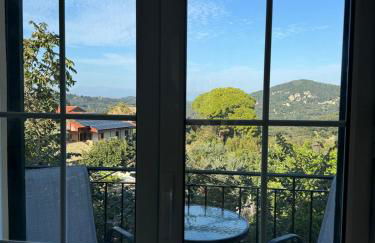 Sofia's Bella Vista Pagoi - Photo 22