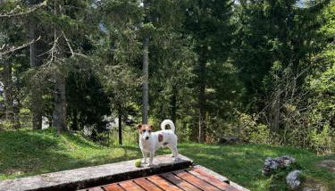 ~Chalet_Rifugio tra i boschi~ - Foto 2