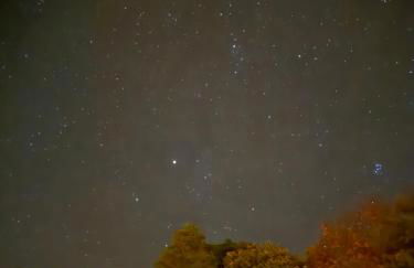 Igelnest im Küstenwald Graal-Müritz - Foto 19