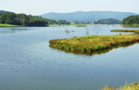 Ferienwohnungen Anneliese&Fritz Wagerer - Photo 30
