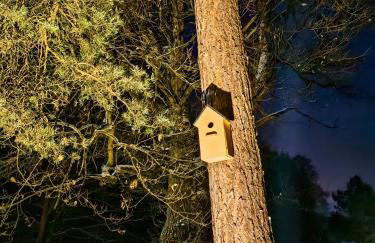 Kajaki wino i śpiew - domek z sauną w otoczeniu lasów i sąsiedztwie zalewu - Foto 15