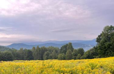 Happy Moments - widokowy apartament - Foto 23