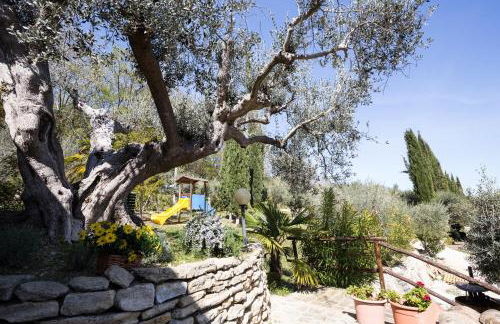 Agriturismo i Cigni - Foto 53