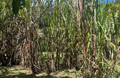 Casa em Friburgo com piscina, lareira suíte & quarto ATENCAO SABADO DIA 18 DE ABRIL TERA FESTA NA CHACARA - Foto 41