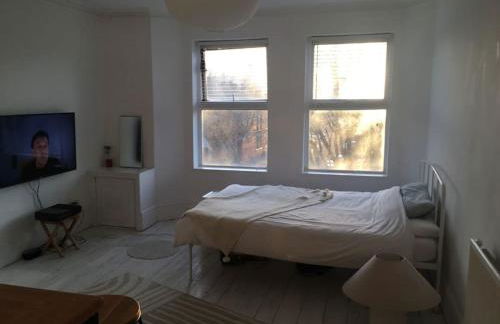 Top floor 1 bedroom, Princes Avenue - Foto 3