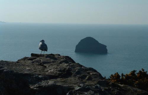 Bay View Cottage - Amazing sea views and 3 bedrooms Sleeps 6-8 - Foto 25