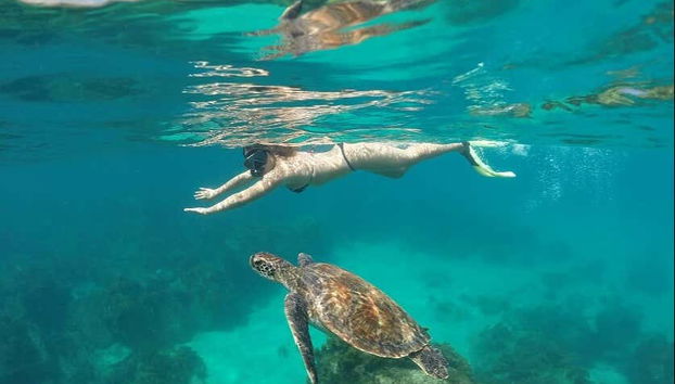 Nuotando nelle acque di Fernando de Noronha