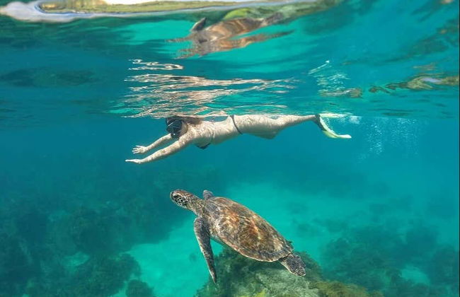 Balade en bateau au Morro Dois Irmãos - Photo 4