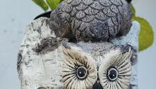 Anaga Manolo Natural House - Foto 5