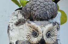 Anaga Manolo Natural House - Foto 5