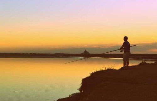 Le Petit Concise à 20mn du Mont Saint Michel - Foto 34