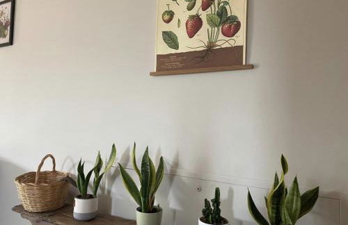 La casa delle fragole - Foto 12