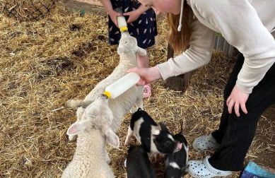 Stables 2bed farm stay private firepit bbq - Foto 17