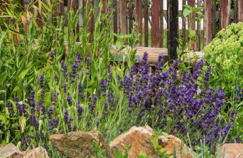 Ferienwohnung in Braunichswalde - Photo 55