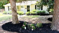 Cute n' Comfy Capers - Foto 4, Garden