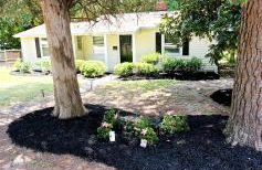 Cute n' Comfy Capers - Foto 4